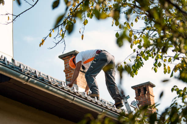 Best Chimney Flashing Repair  in Redwood, TX