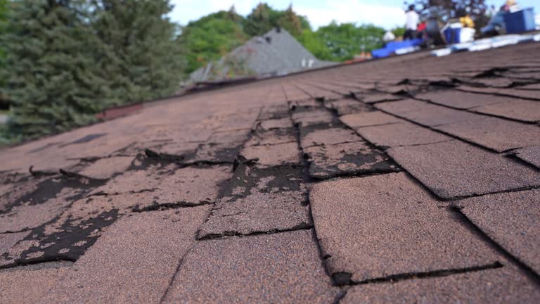 Best Metal Roofing Installation  in Redwood, TX